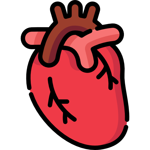 Anomalous Coronary Artery